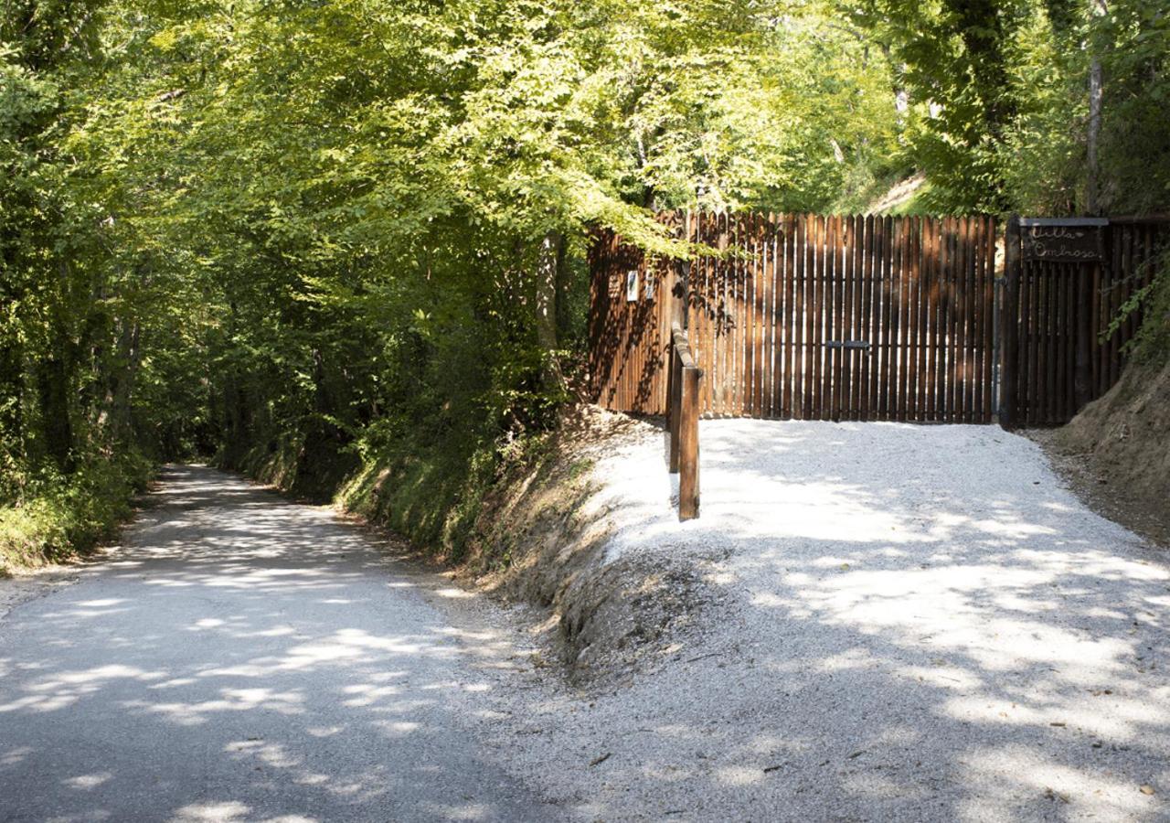 Dolf - Villa Ombrosa Isola  Екстер'єр фото
